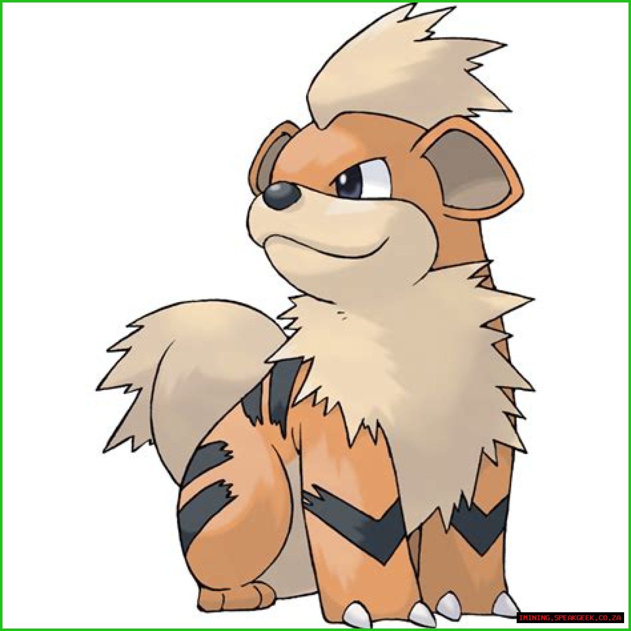 Growlithe (Pokémon) - Bulbapedia, the community-driven Pokémon encyclopedia