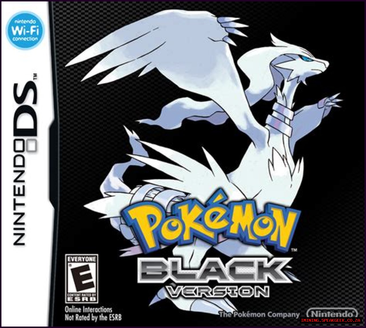 Pokémon Black and White Versions