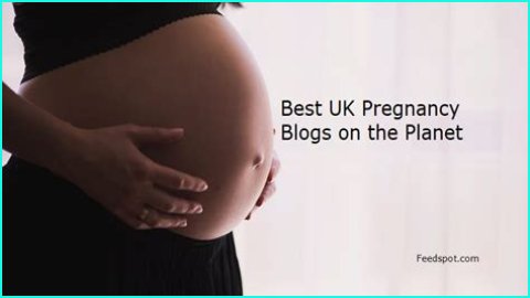 Pregnancy Blogs – Top Pregnancy Blogs and Websites