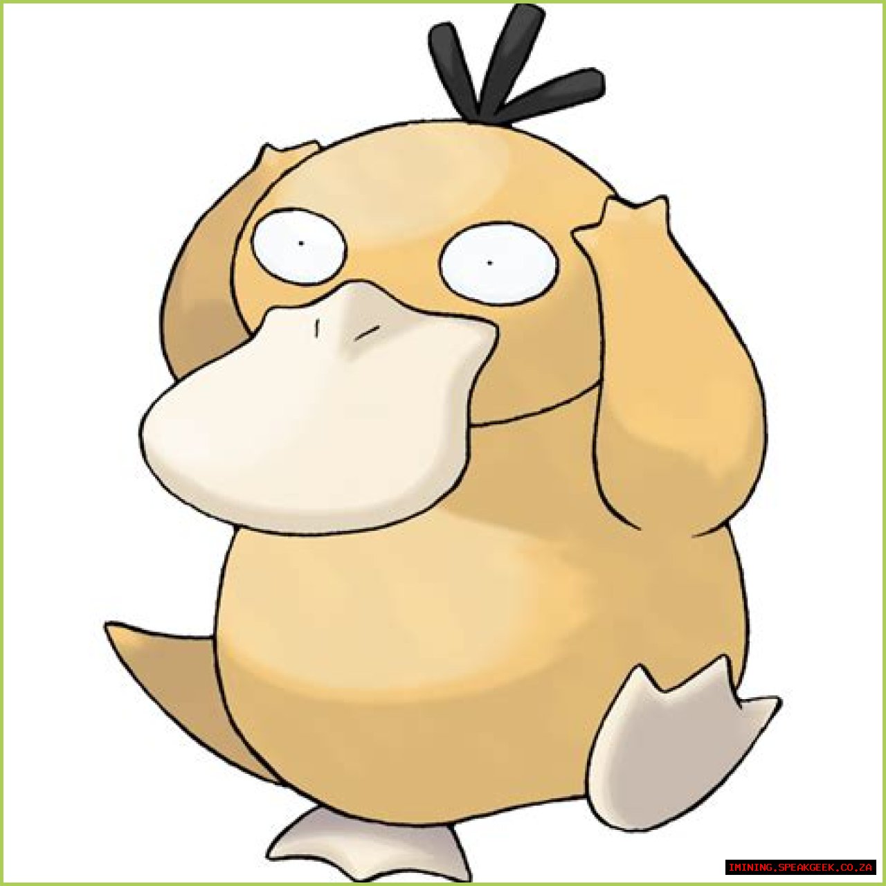 Psyduck (Pokémon) - Bulbapedia, the community-driven Pokémon encyclopedia