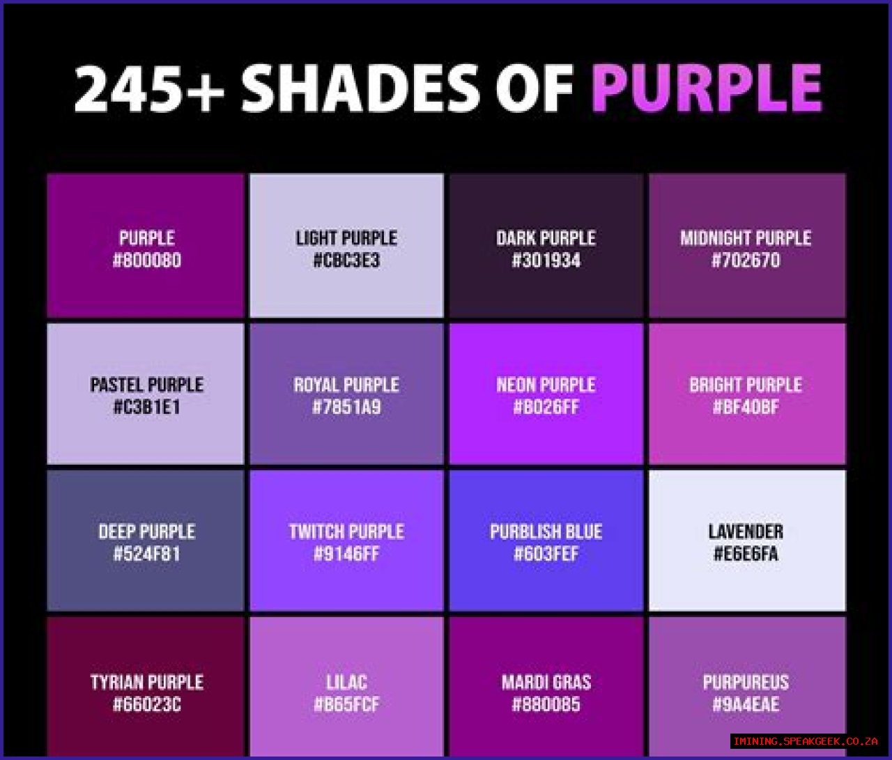 Shades of Purple - A Comprehensive Look at the Different Types of Purple