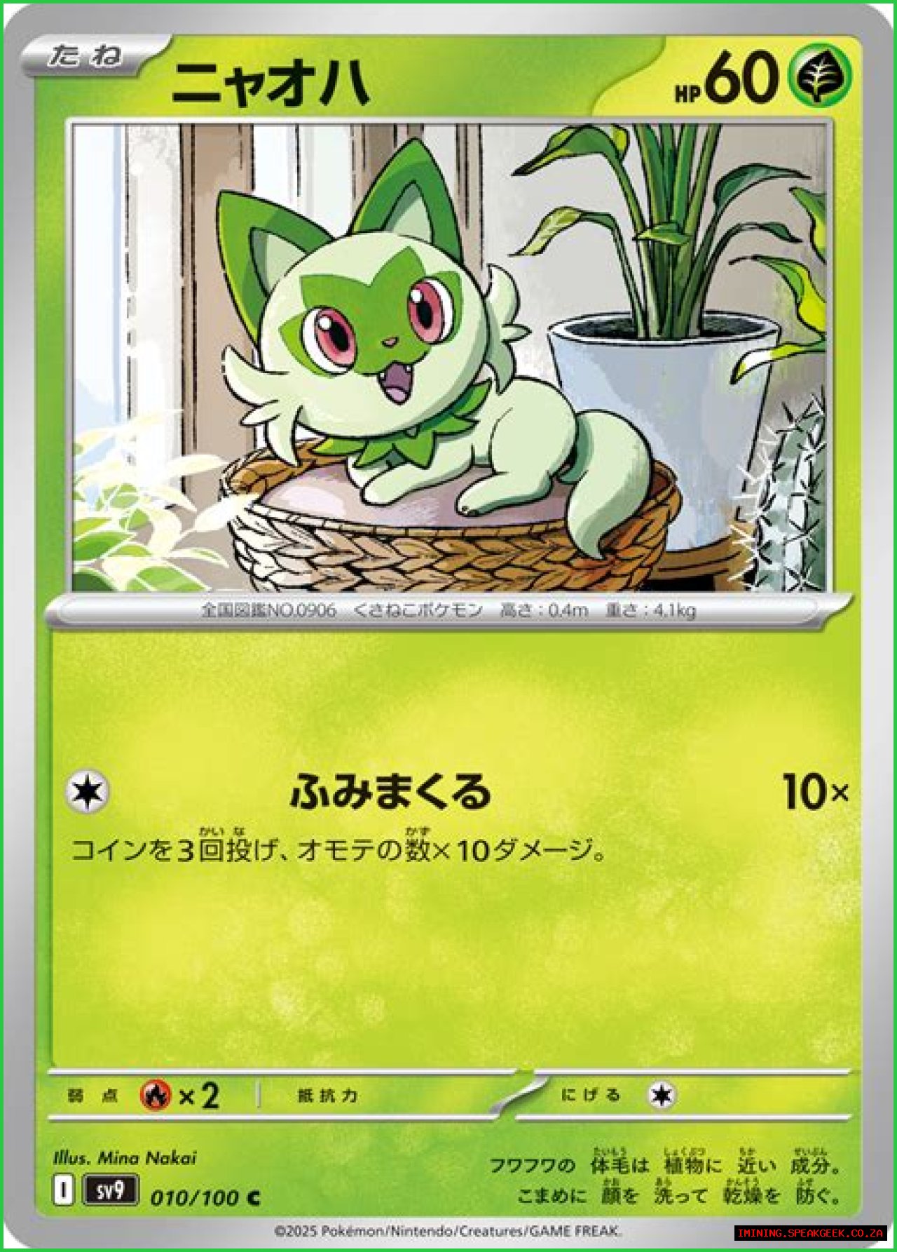 Sprigatito (Pokémon) - Bulbapedia, the community-driven Pokémon encyclopedia